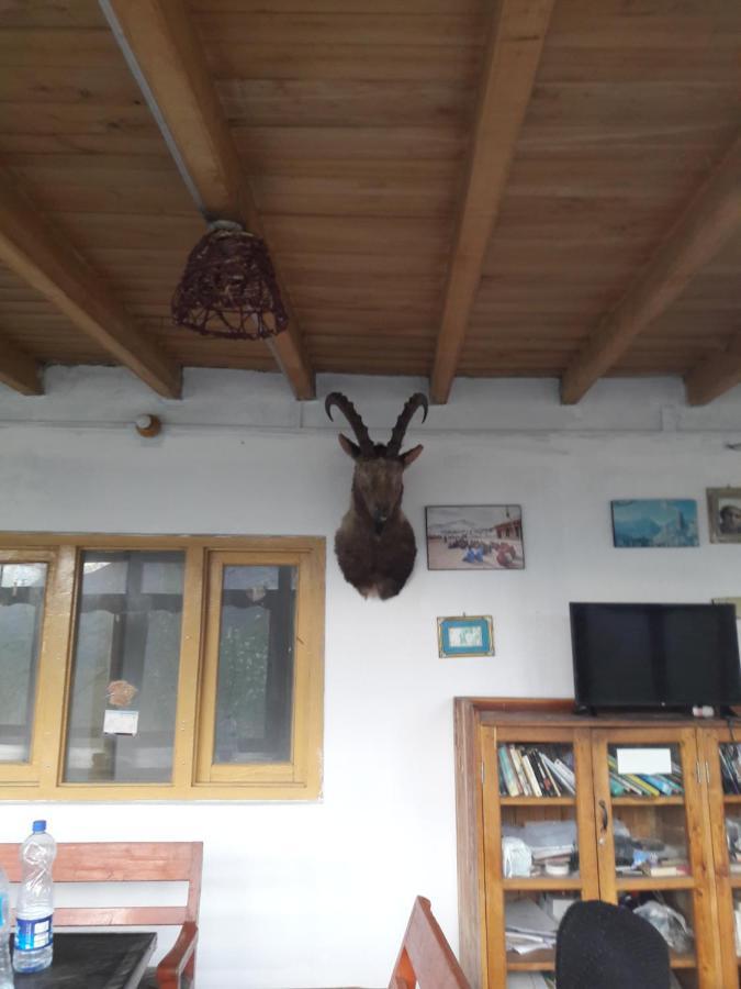 Tourist Cottage Hunza Karimabad  Exterior foto